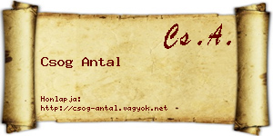 Csog Antal névjegykártya